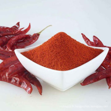 Poudre de piment épicé chaud à bas prix